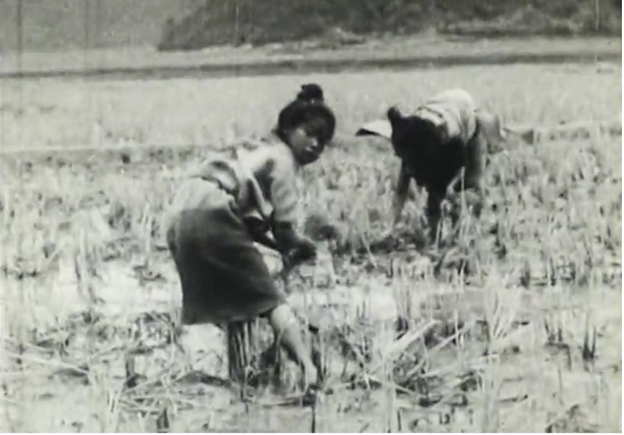 DossierGiglittoCere Fig 6